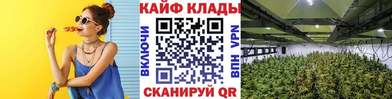 Где продают наркотики Харовск Каннабис MEGA вход КОКАИН Псилоцибиновые грибы Экстази ГАШИШ Меф Alpha-PVP