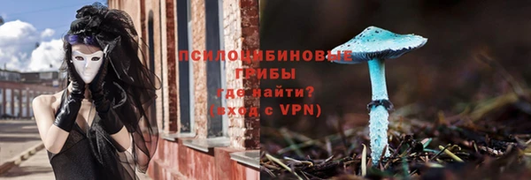 гидропоника Туринск