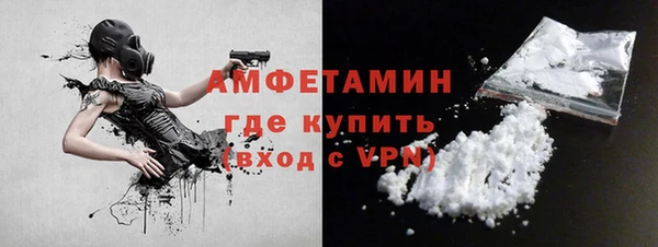 ГАЛЛЮЦИНОГЕННЫЕ ГРИБЫ Осинники