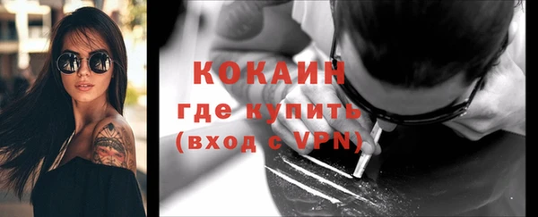ГАЛЛЮЦИНОГЕННЫЕ ГРИБЫ Осинники