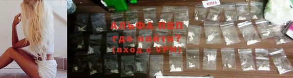ГАЛЛЮЦИНОГЕННЫЕ ГРИБЫ Осинники