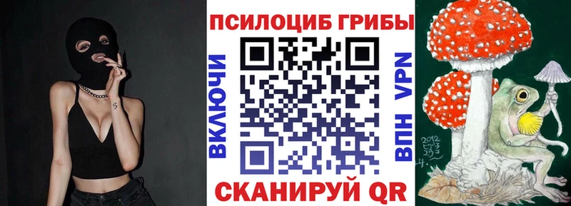 Галлюциногенные грибы Psilocybine cubensis Харовск
