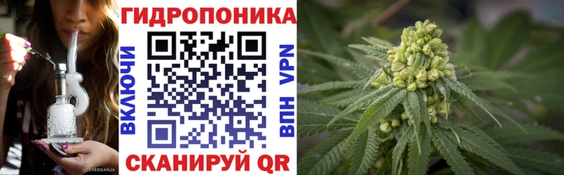 нарко площадка формула Харовск Бошки марихуана Bruce Banner наркошоп